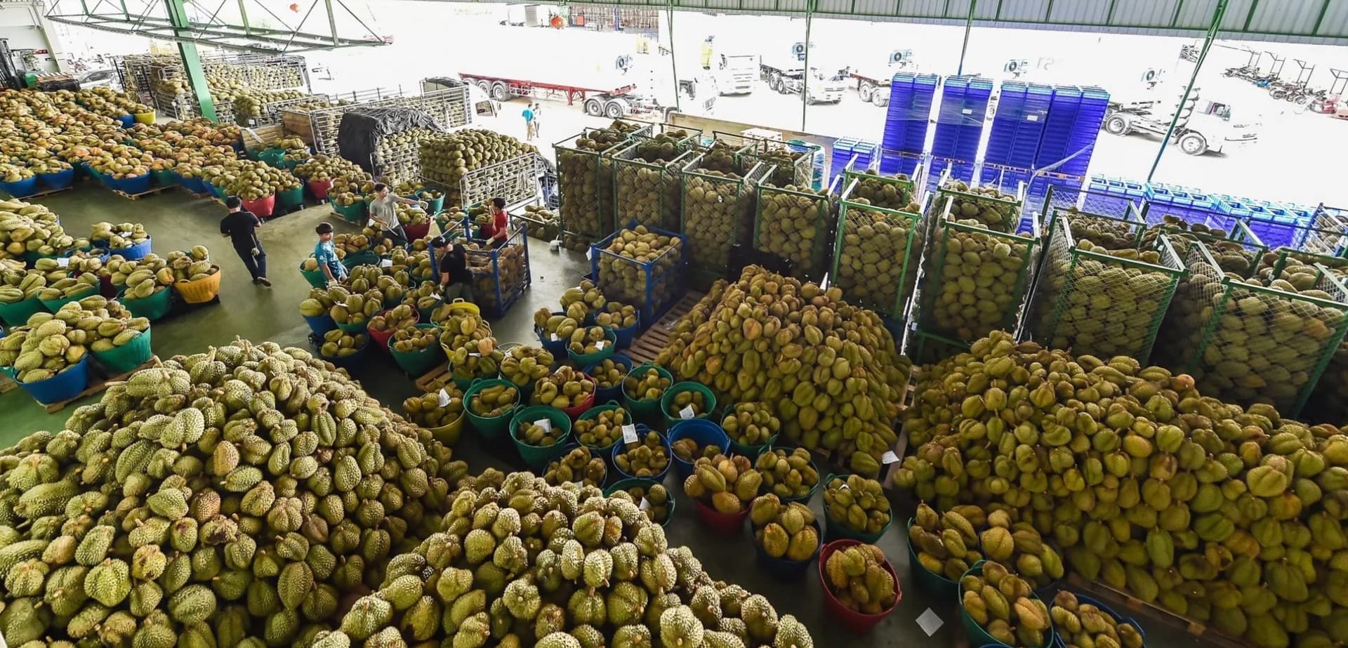 Consumer Exports mandate